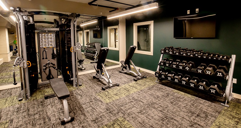 Level on Locust Image 4