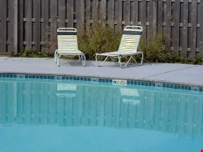 Cedarfield at Churchland Apartments Image 4