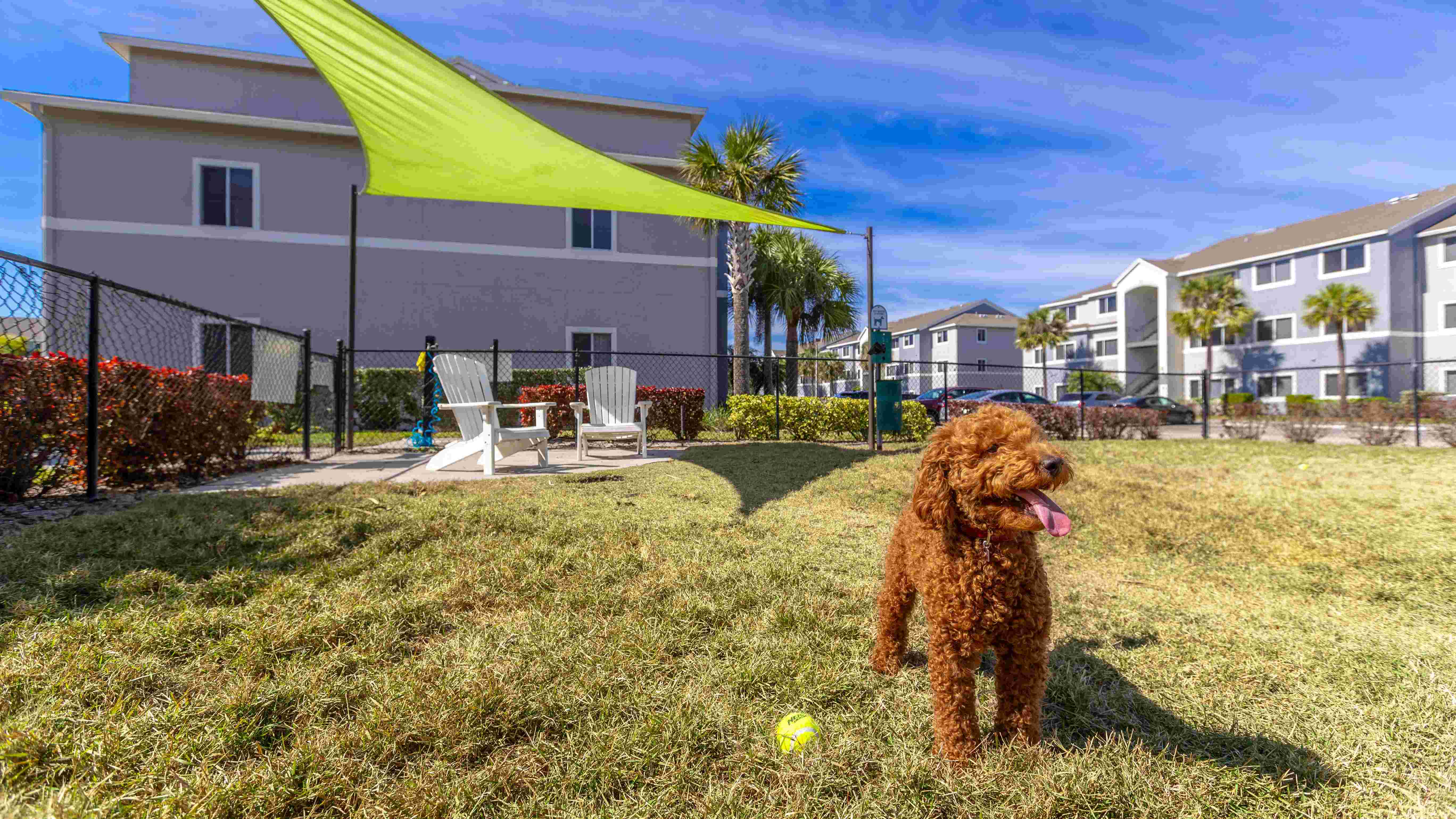 Enjoy the perks of pet-friendly living with an off-leash dog park featuring an open space for your pup to run free and exercise.