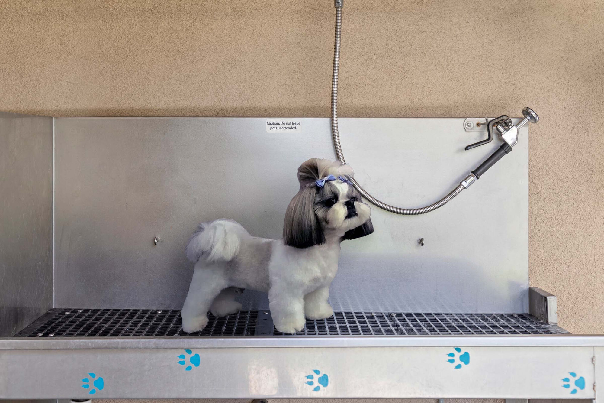 Camden Foothills Image 35