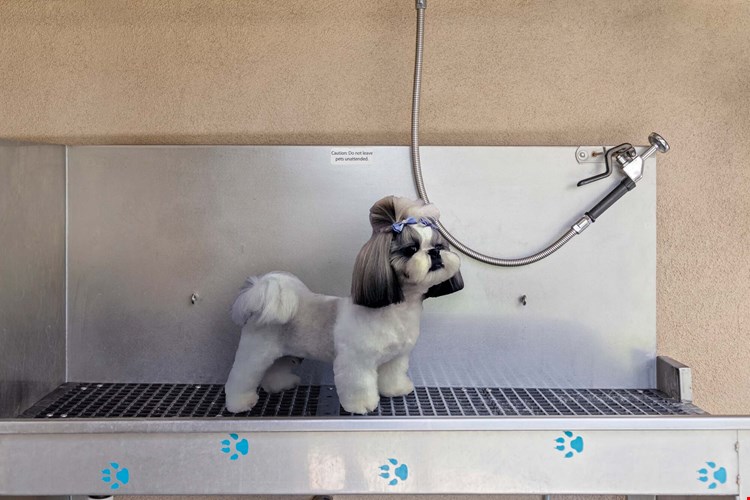 Camden Foothills Image 35