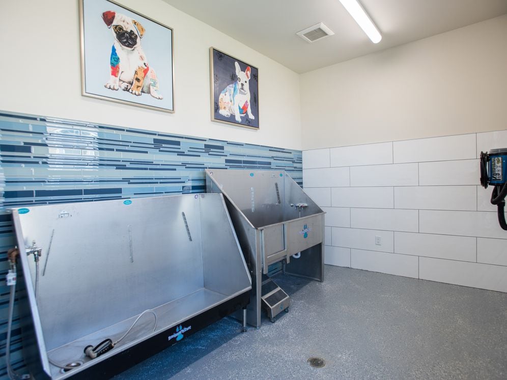 WAG pet spa with bathing and grooming equipment