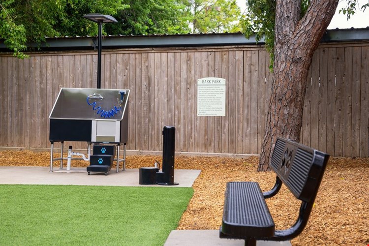 Camden Holly Springs Image 25