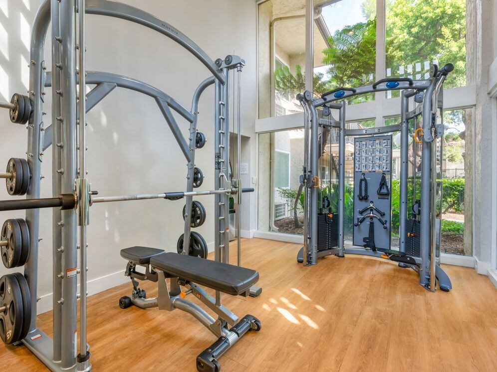 Fitness center with strength equipment