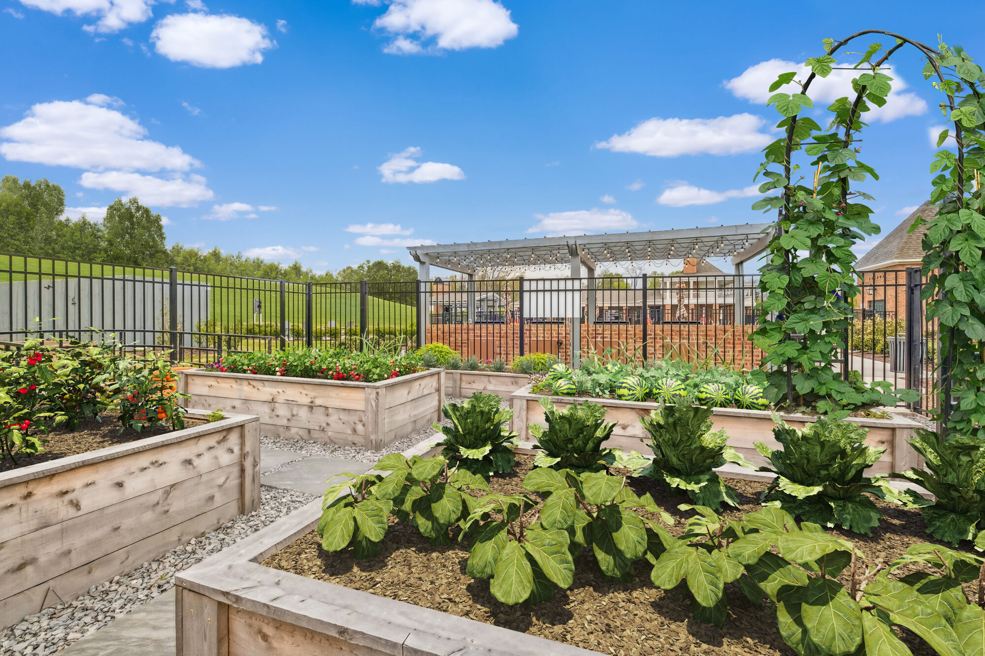 Provenza at Park Place Image 5