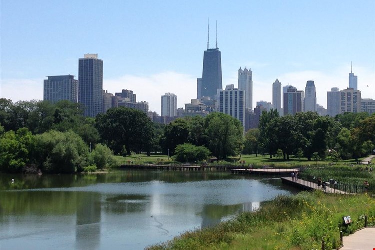 Park View Apartments Image 4