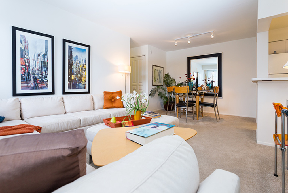 Saddle Creek Image 11