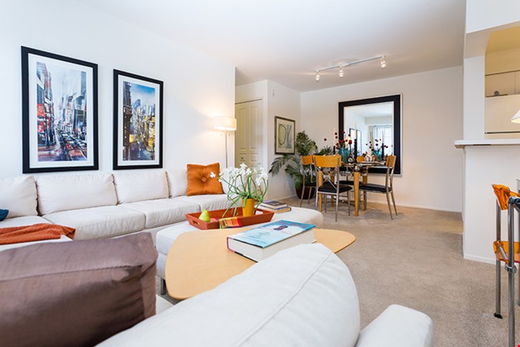 Saddle Creek Image 62