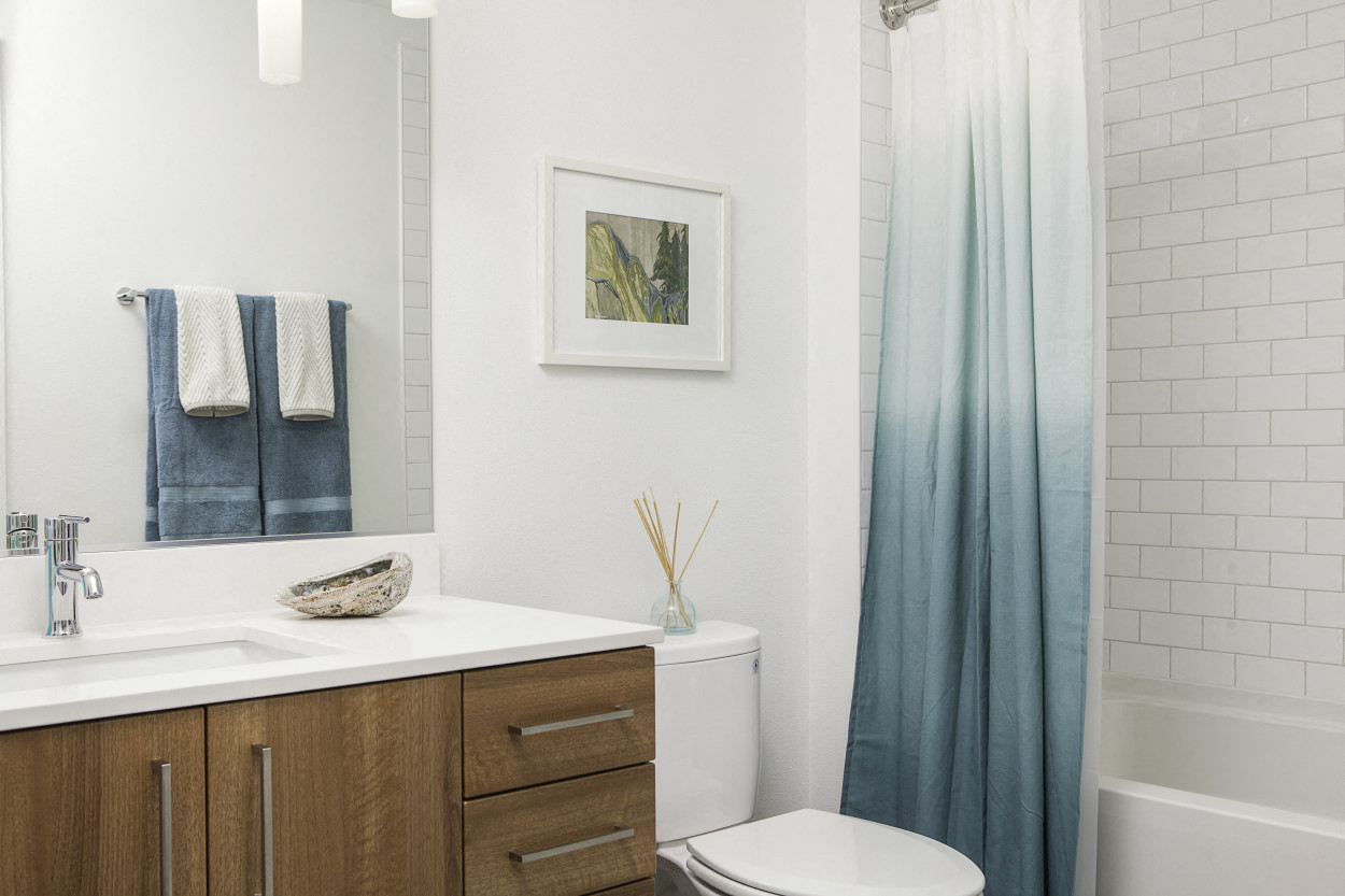 Modern, Flat-Panel Cabinets