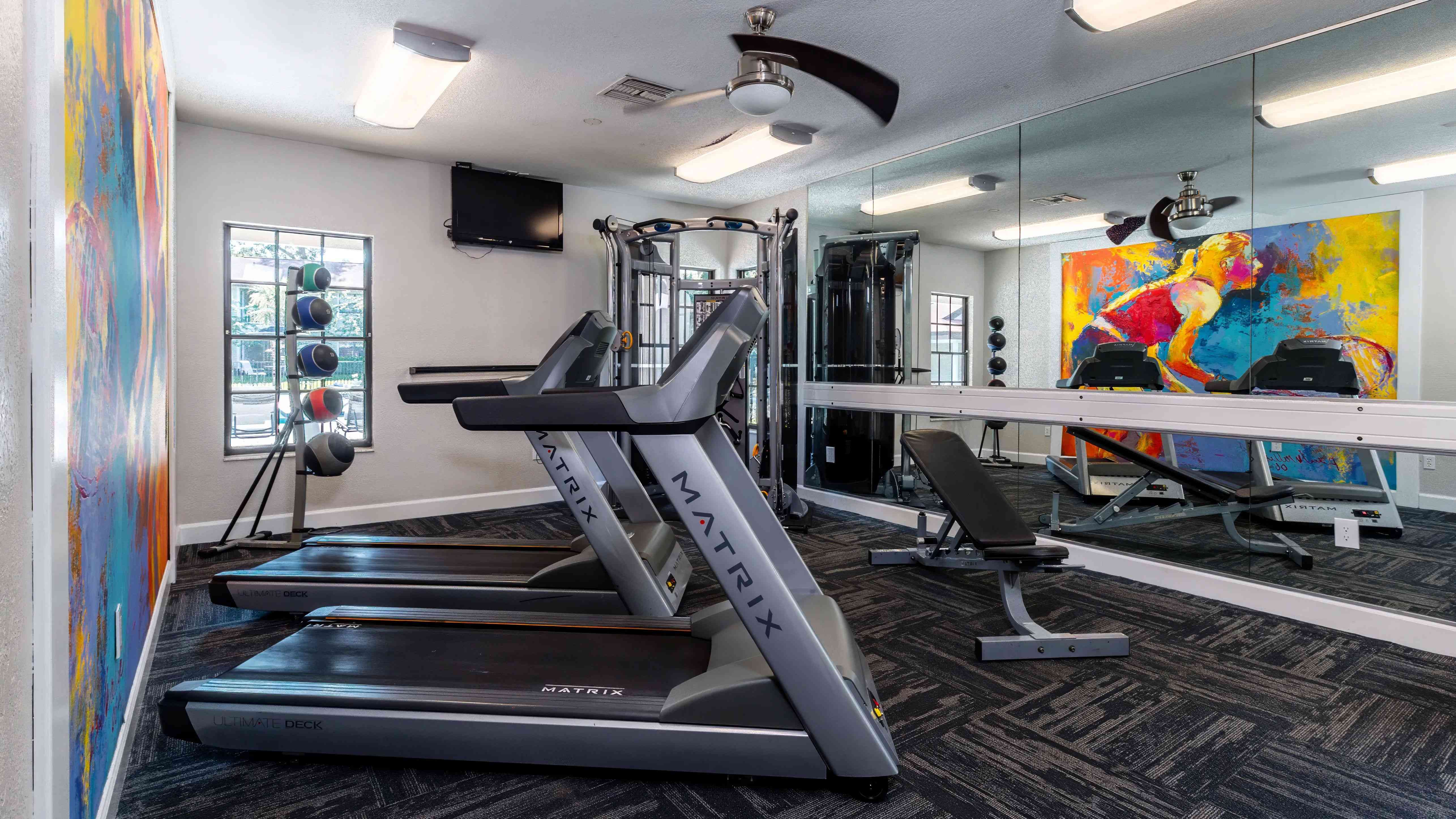 Our fitness center is a vibrant space with modern exercise equipment, including treadmills, weight machines, and more.