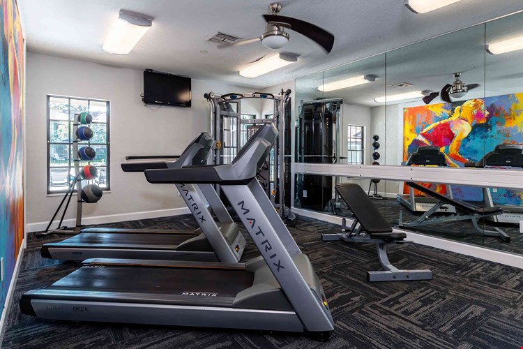 Our fitness center is a vibrant space with modern exercise equipment, including treadmills, weight machines, and more.