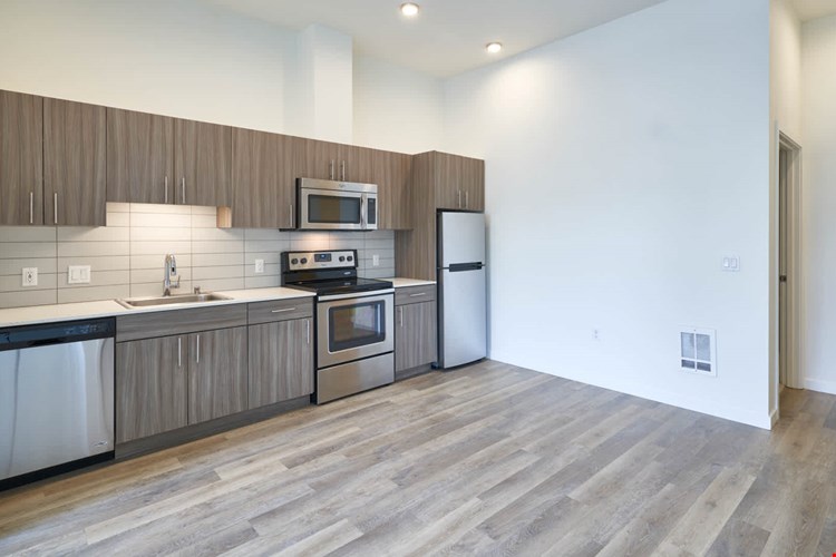 Springline  Image 49