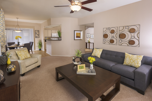 San Antigua In Mccormick Ranch Image 14