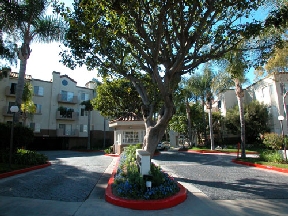 Playa Summit Luxury Apartments Image 7