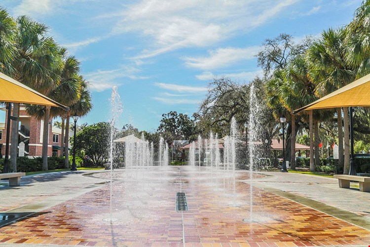 The Downtown Splash Pad and Pavilion in Winter Garden is a favorite for children in the community.. You can see 100’s of kids gather here each weekend while their parents enjoy the farmers market (hours 9am to 9pm). Directly across from the open air pavilion home to the Winter Garden Farmers Market held each Saturday from 9am to 2pm.