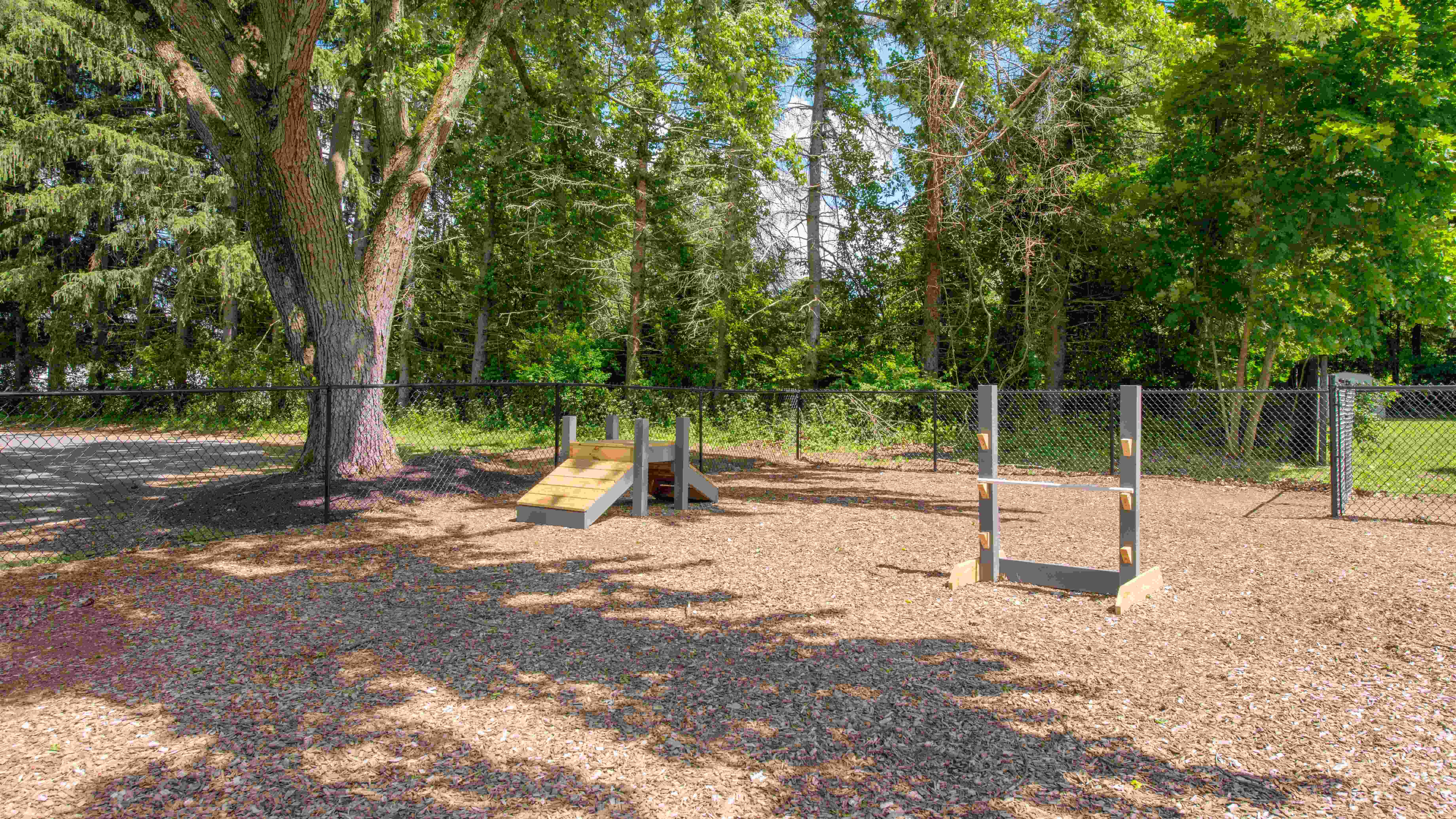 Let your furry friend roam free in our lively dog park with agility obstacles. College living just got better for you and your pet.