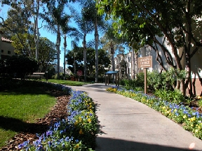 Playa Summit Luxury Apartments Image 13