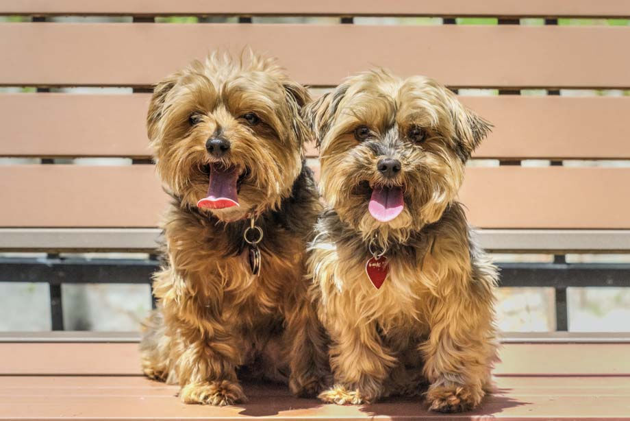 Camden Dunwoody Image 26