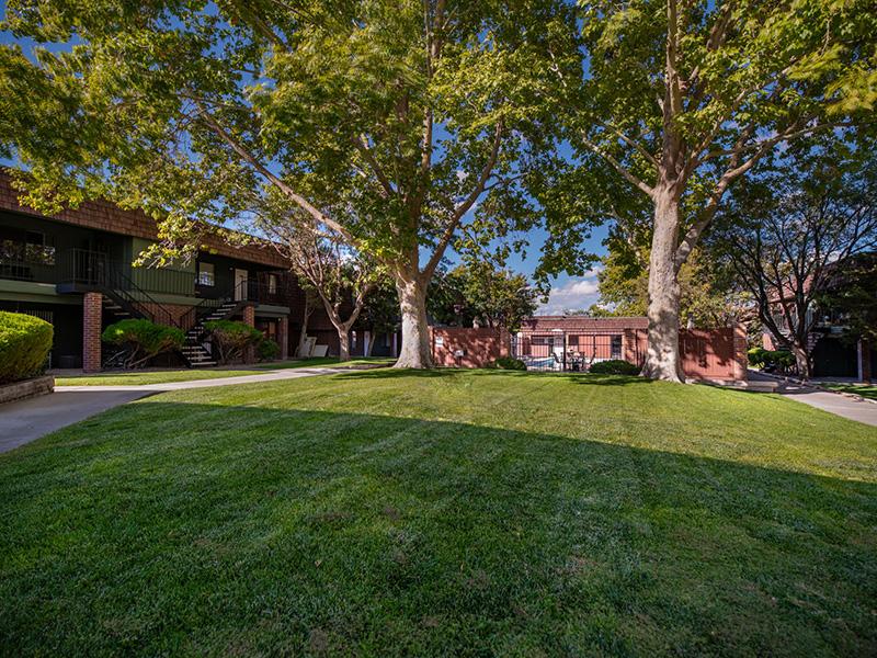 Meadowlark Apartments Image 3