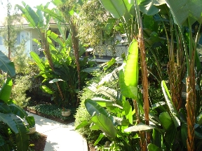 The Royal Gardens Image 6