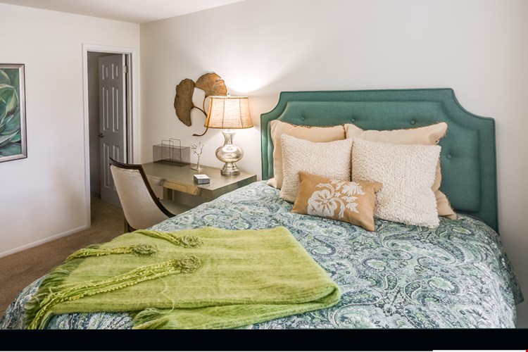 Treetops at Chester Hollow Image 25