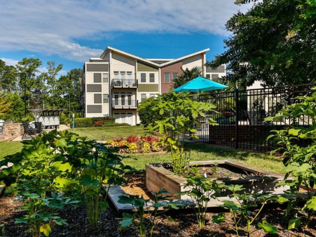 The Vyne on Central Image 4