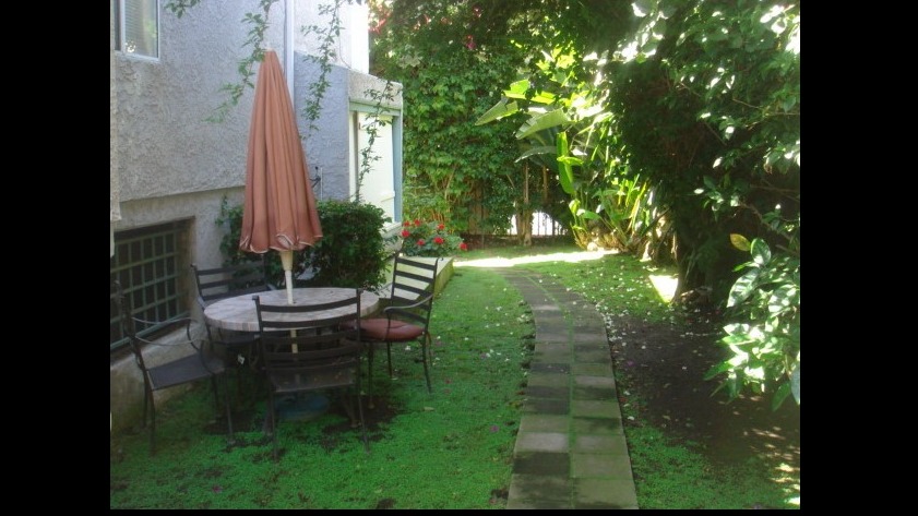 Apollo Apartments Image 18