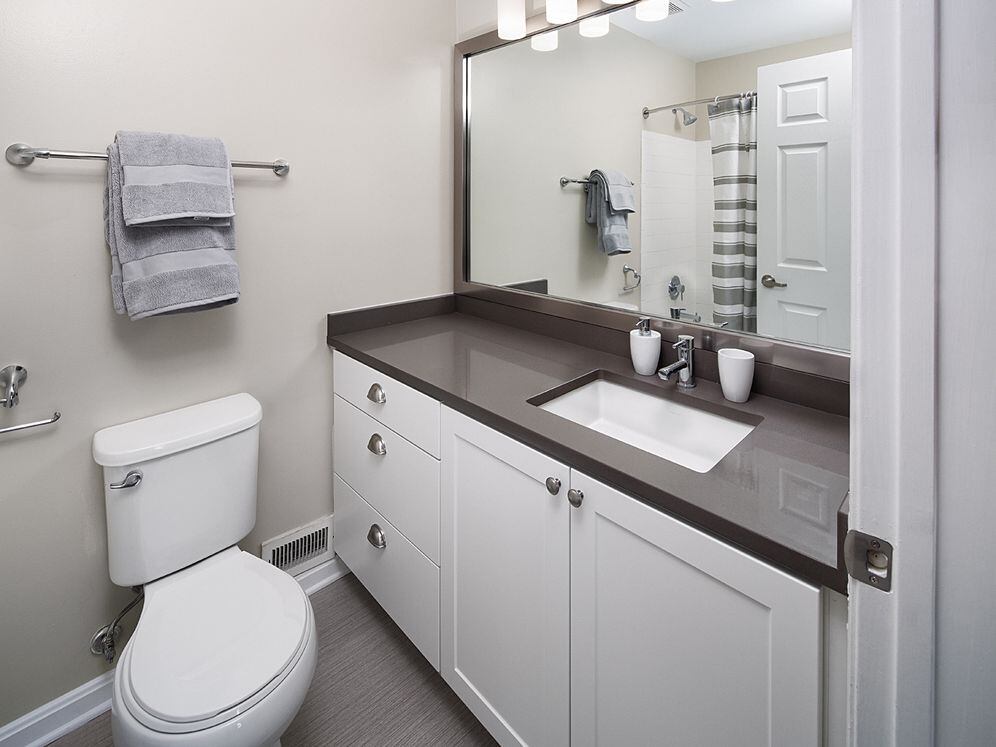 Bath with Quartz Countertops