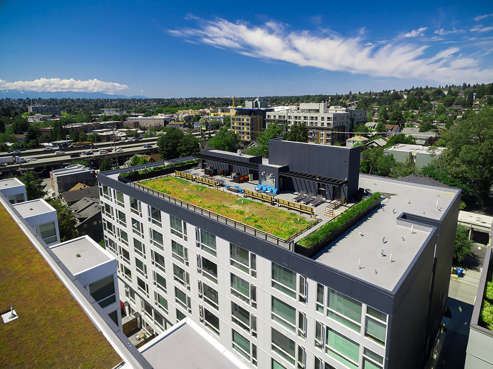 Rooster Apartments Image 15