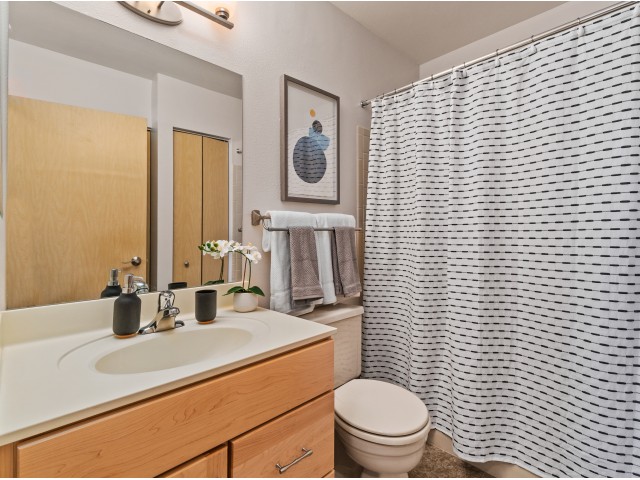 Coventry Apartments Image 9