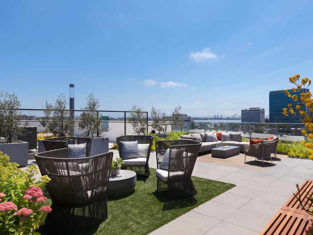 Rooftop Lounge