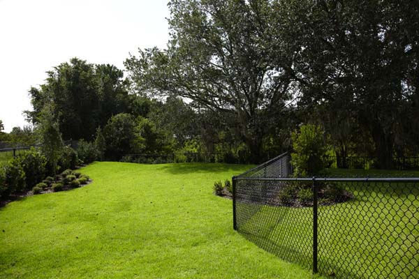 Camden Town Square Image 34