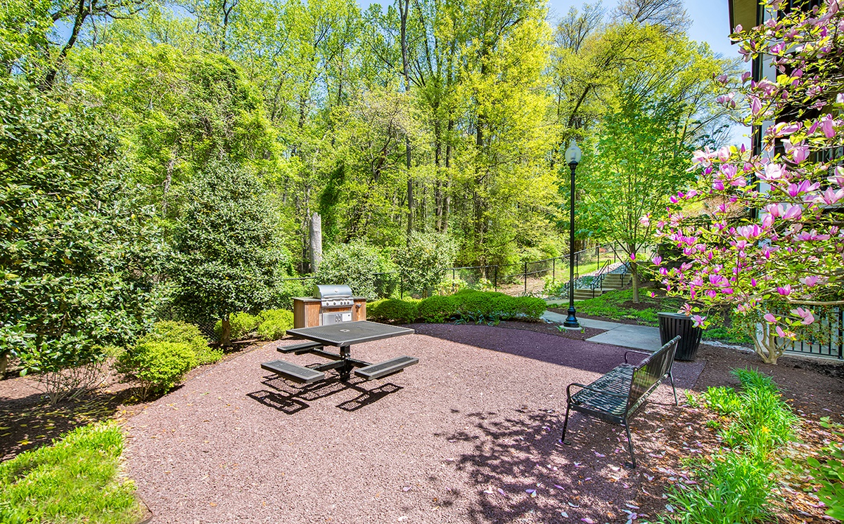 Mode at Hyattsville Image 2