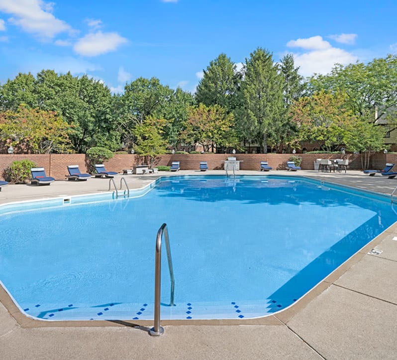 McNaughten Woods Image 2