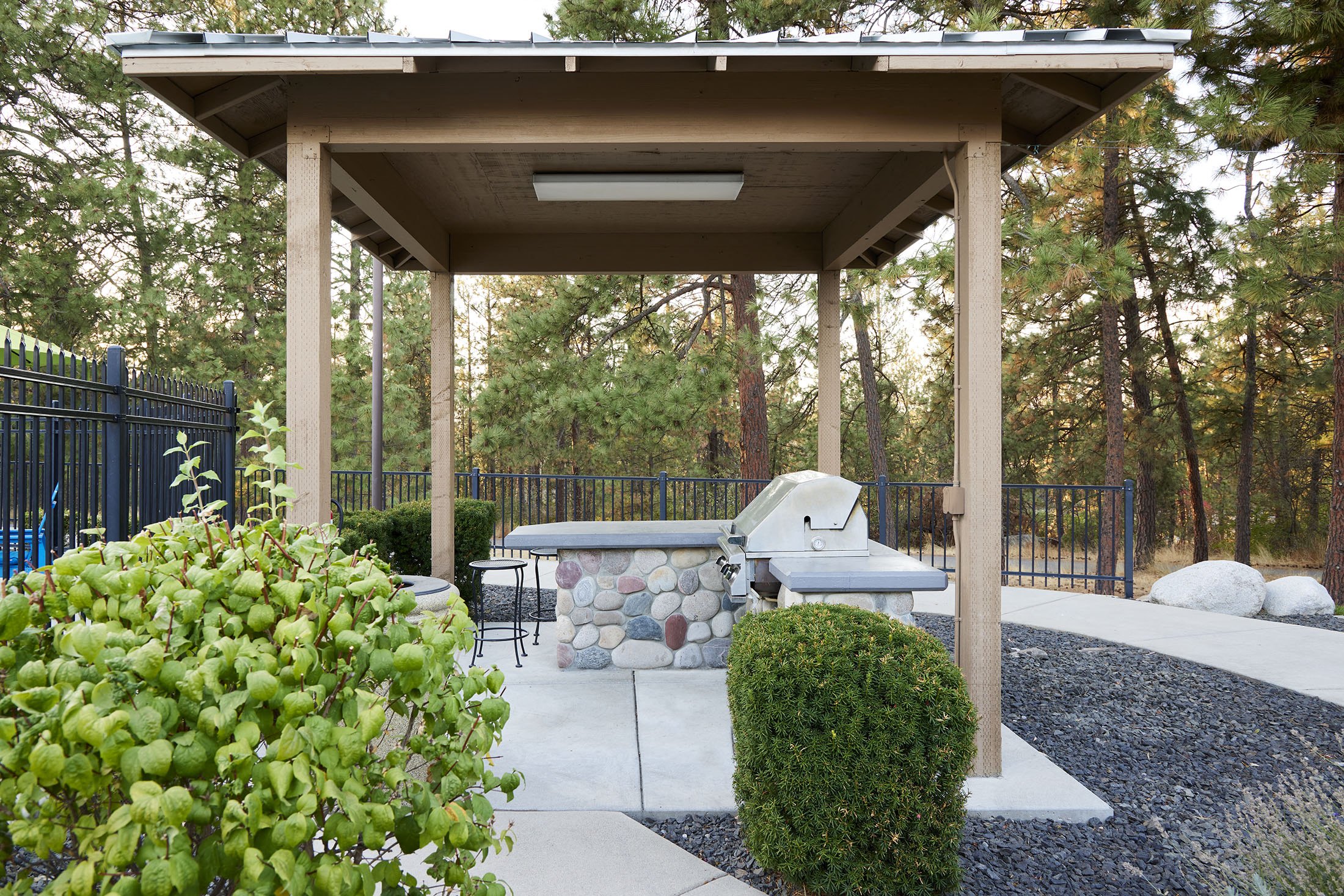 BBQ Grills