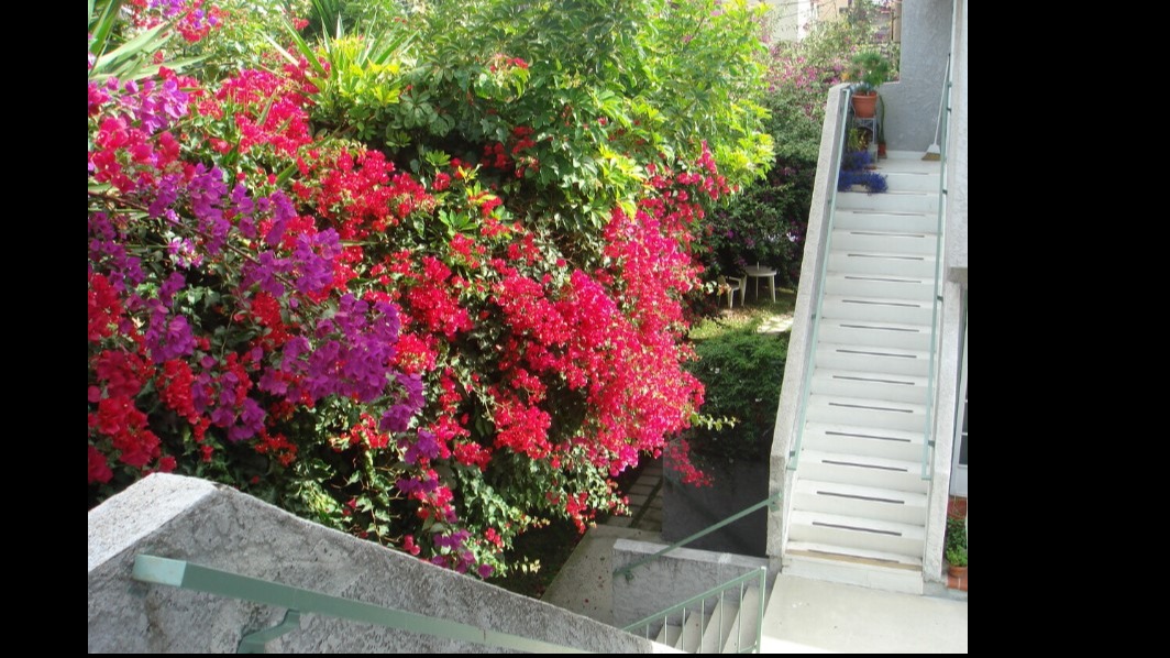 Apollo Apartments Image 3