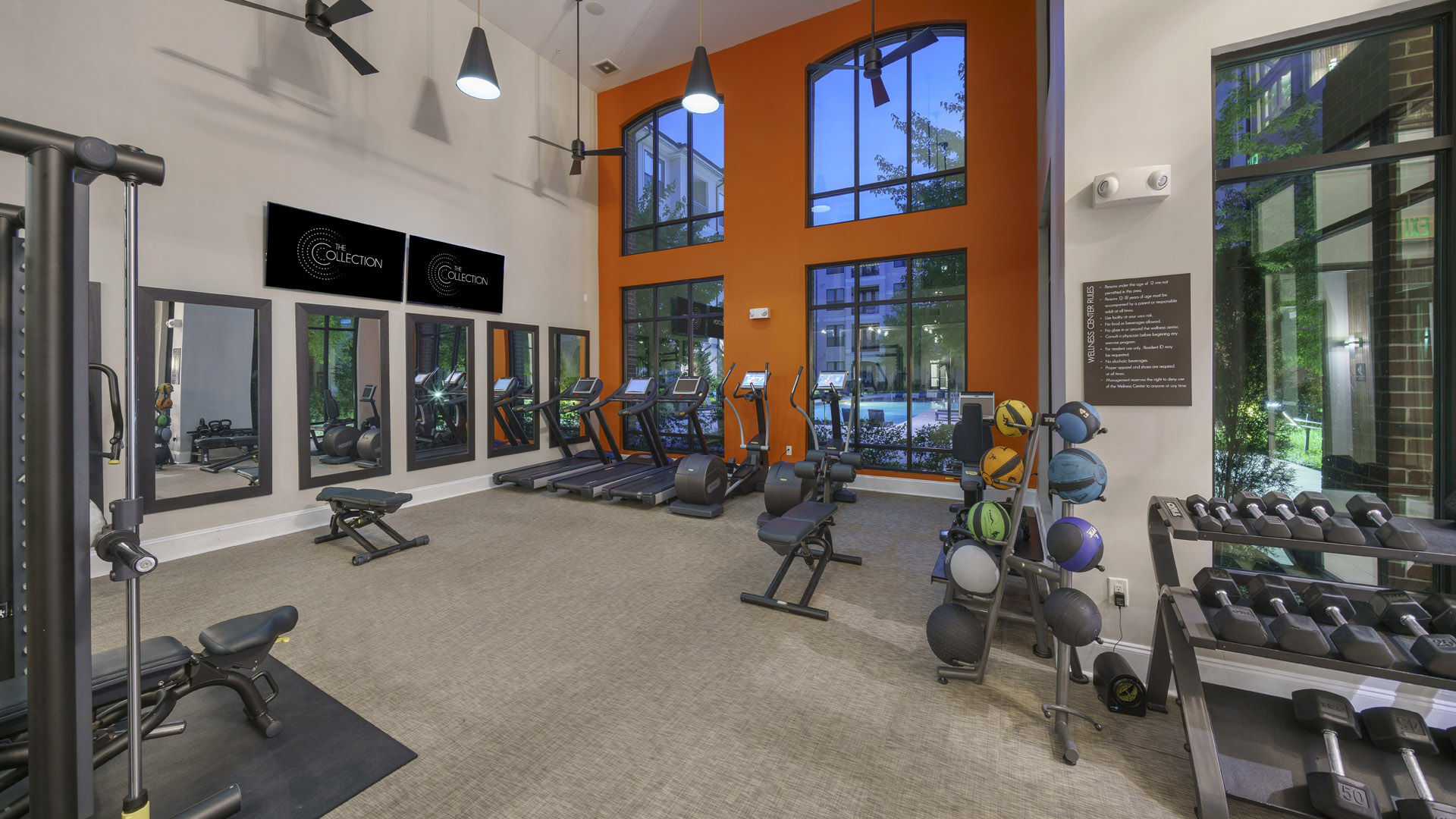 The Collection Image 46