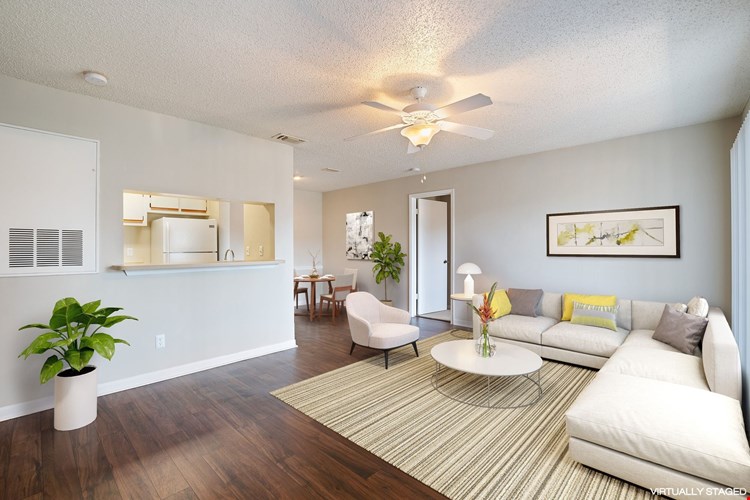 Springs Colony Image 2