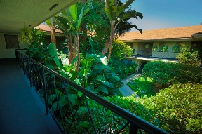 The Royal Gardens Image 5