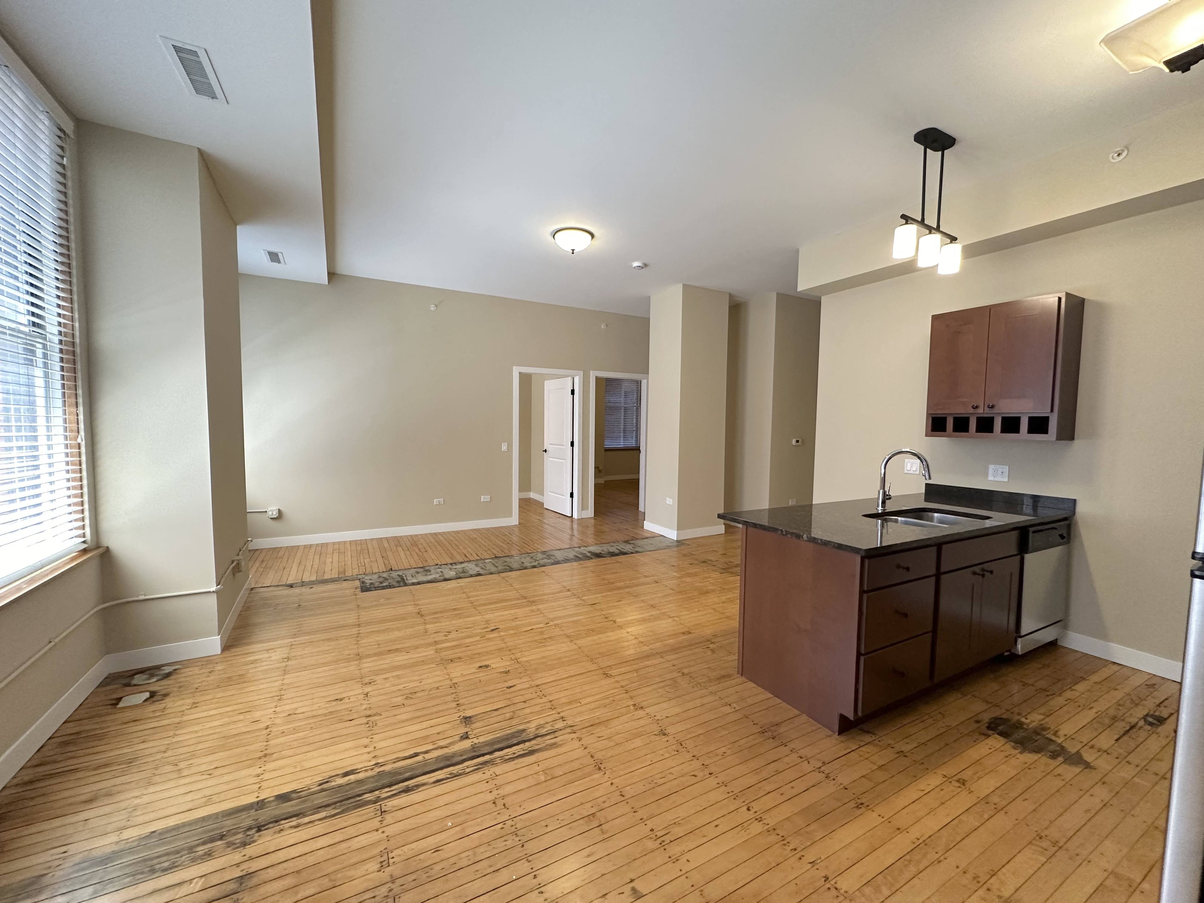 Pioneer Endicott Image 100