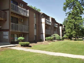 Pinery Woods Image 1