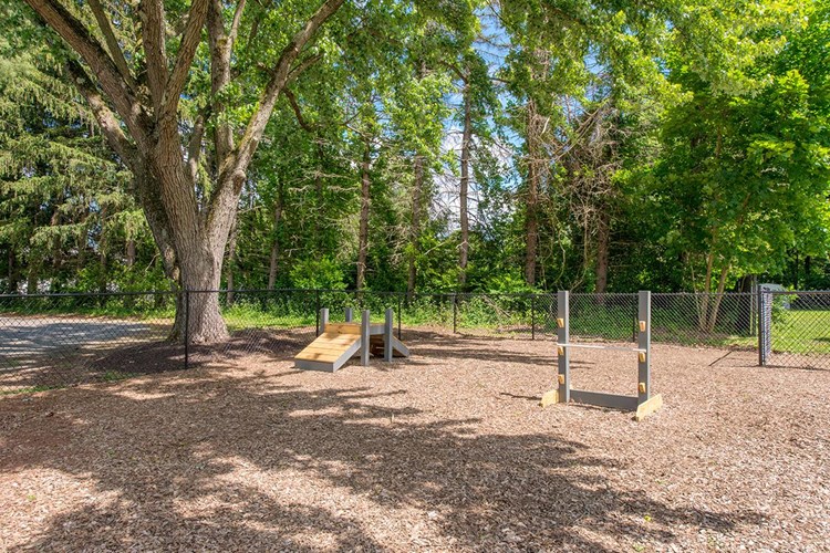 Alpine Commons offers pet friendly apartments in Amherst with an off-leash dog park onsite. 