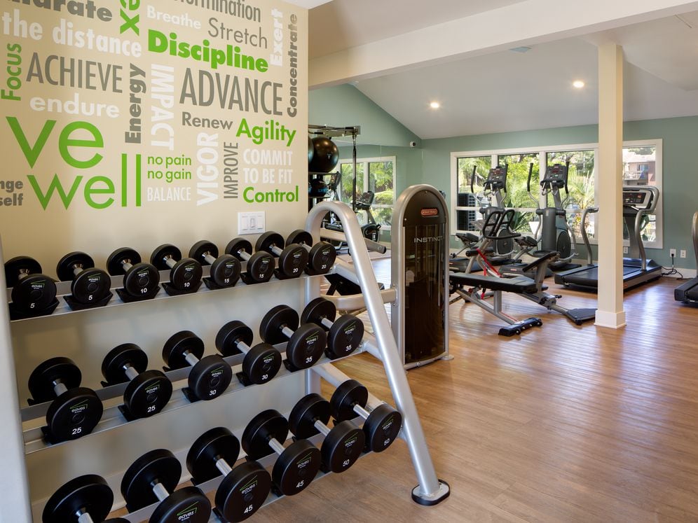 Fitness center with strength equipment