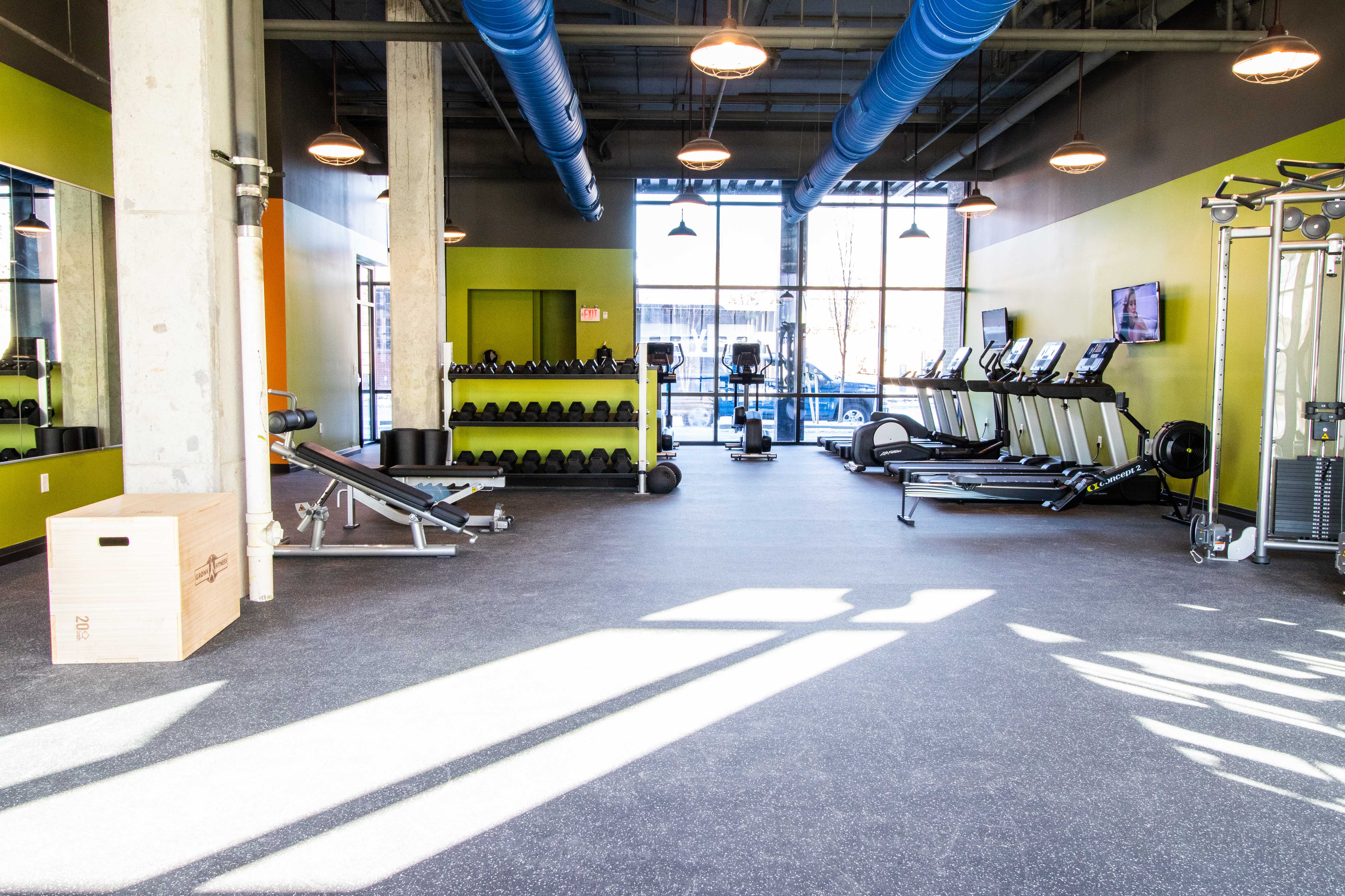 River and Rich Image 9