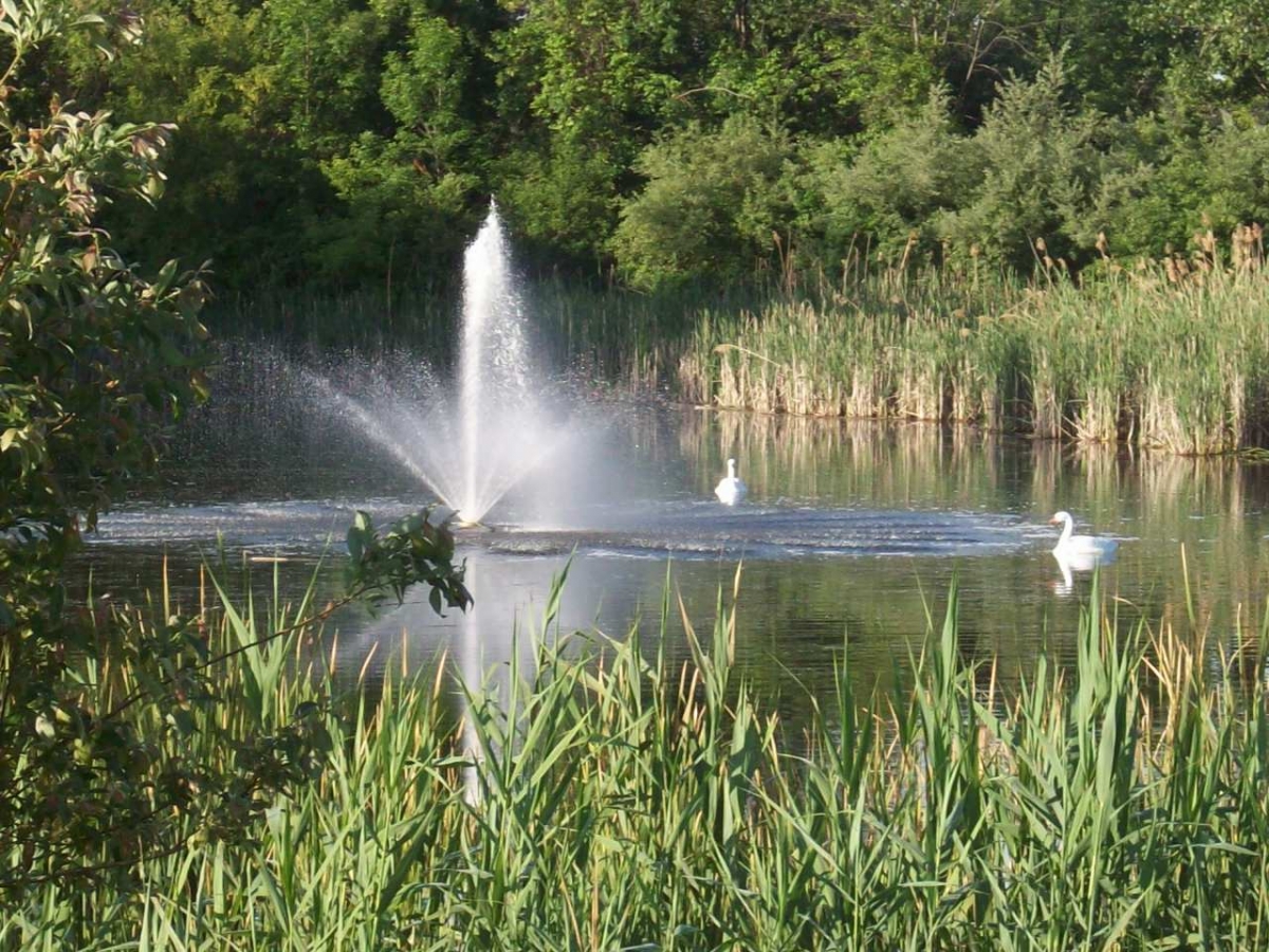 Stoney Creek Village Apartments Image 6