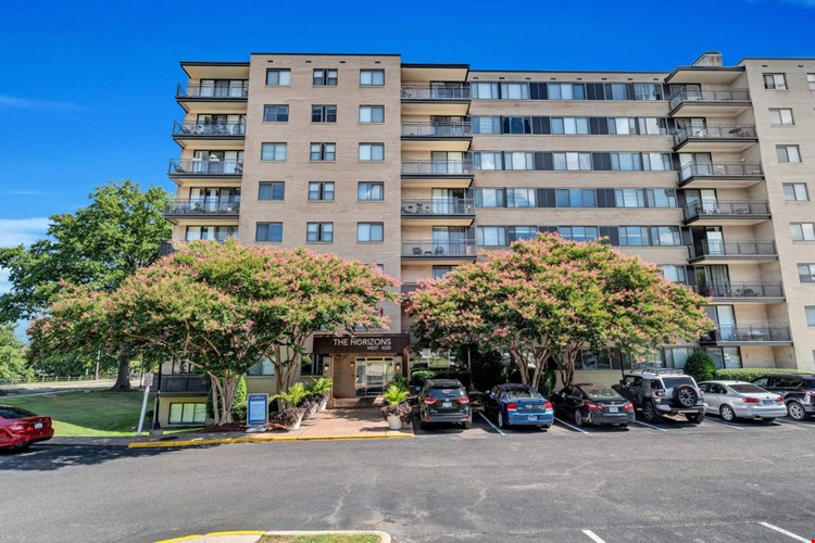 The Horizons Image 2