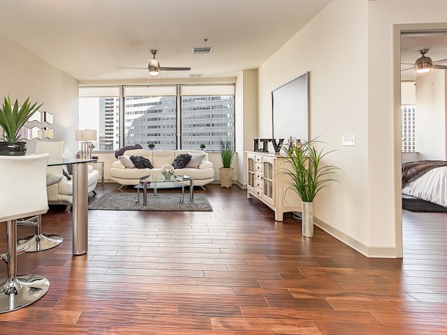 Living Area & Bedroom