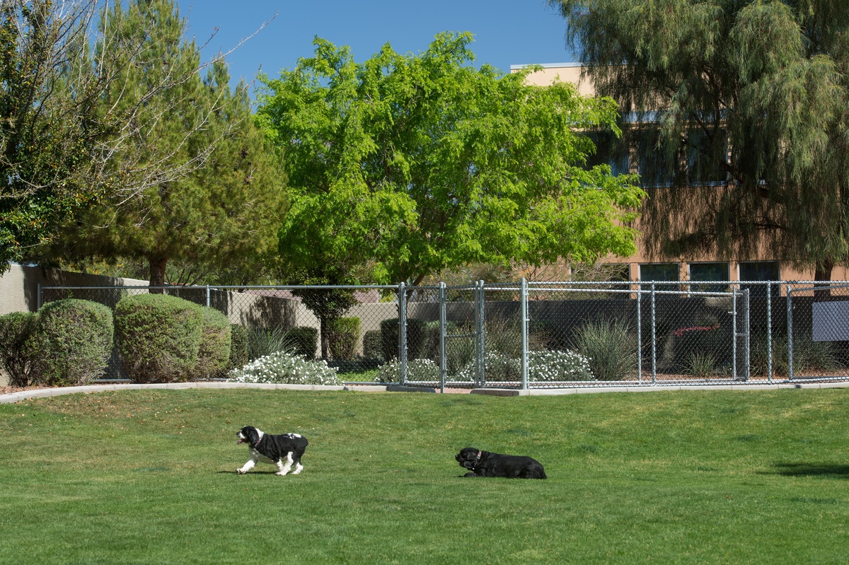 Villas On Hampton Avenue Image 9