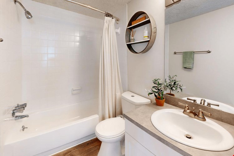 Somerset Apartments Image 9