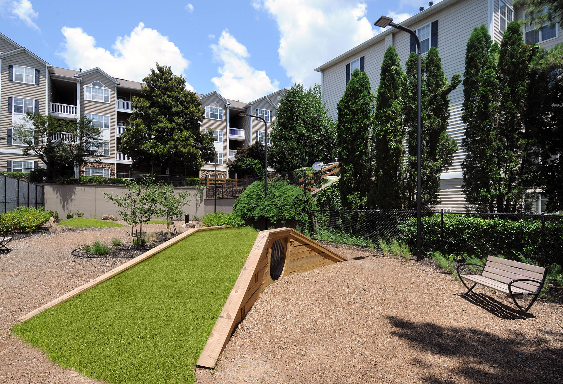 Dog Park with agility equipment